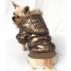 Parkas Golden Star