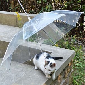 Paraply till hund/katt