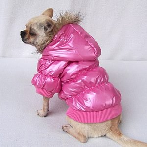Parkas Pink Star